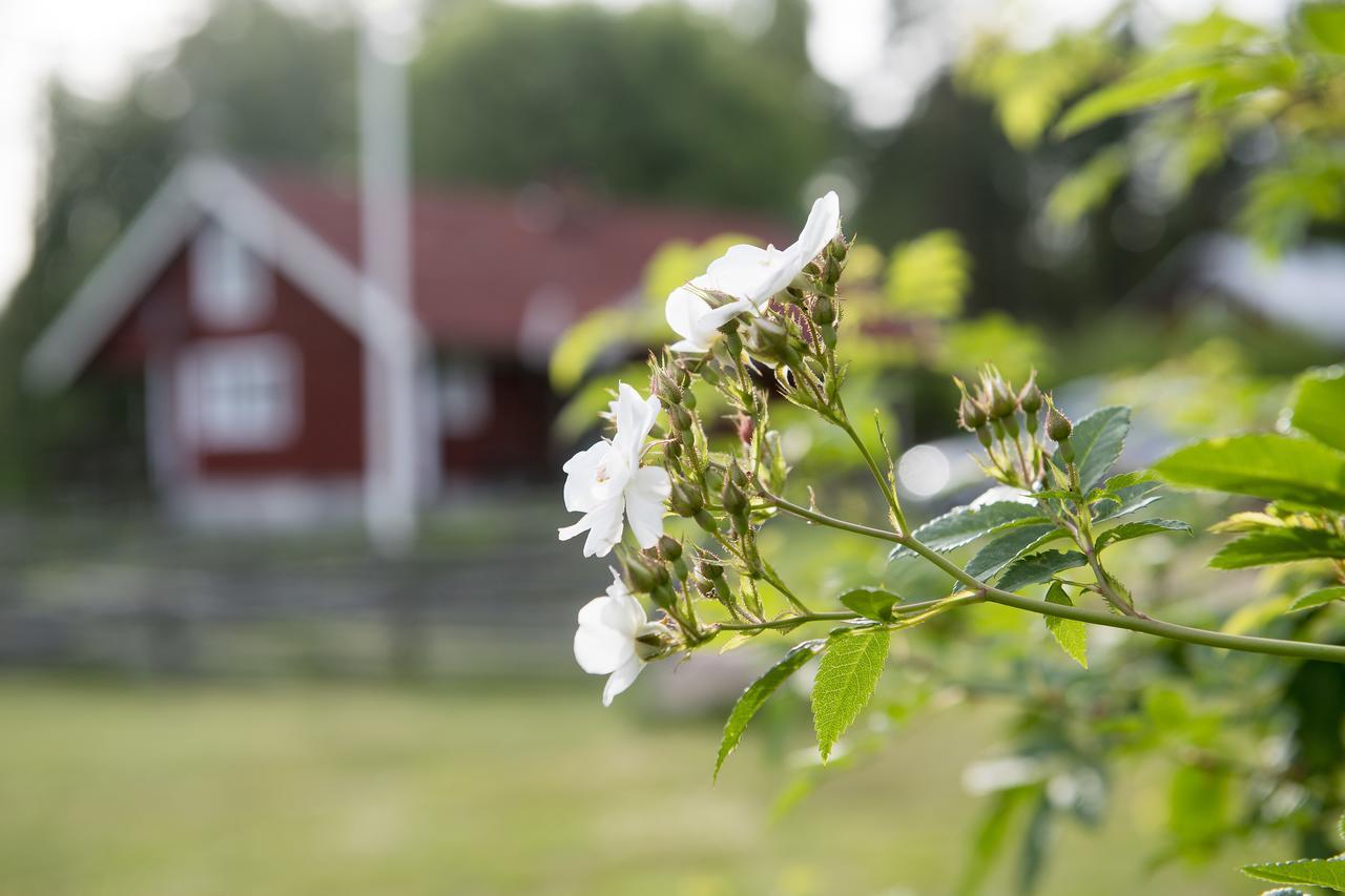 Modal Stugor Hultsfred Exterior photo